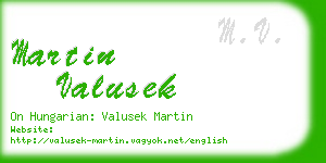 martin valusek business card